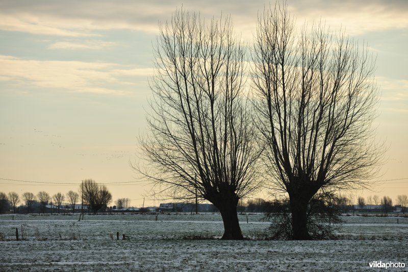 Winterse Merkembroeken
