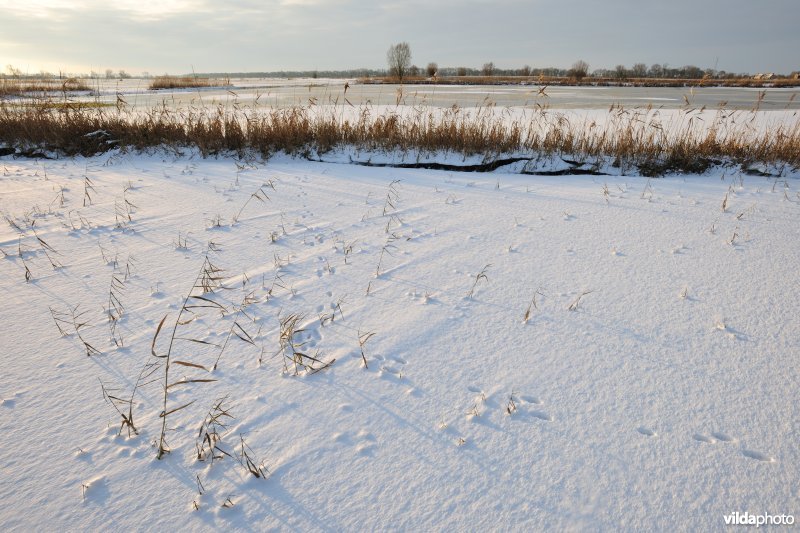 Winterse Merkembroeken