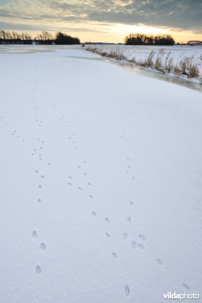 Winterse Merkembroeken