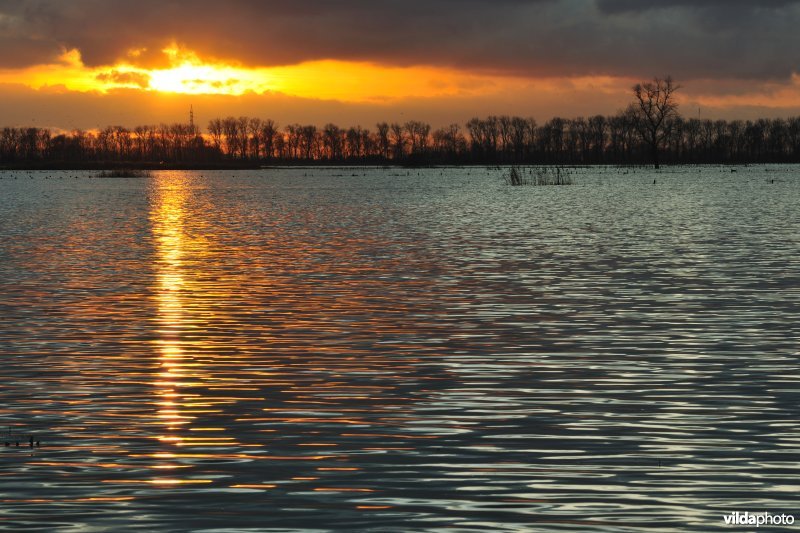 Overstroomde Merkembroeken