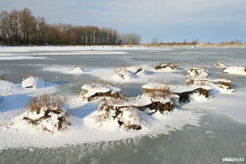 Vijfhuizenbroek