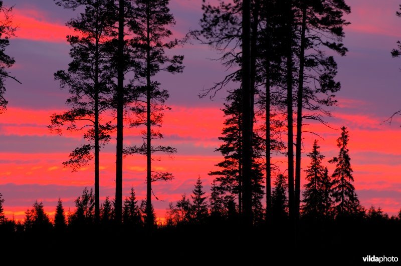 Zonsondergang in Finland