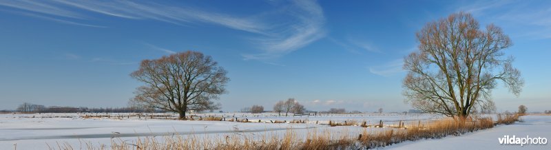 Woumenbroek
