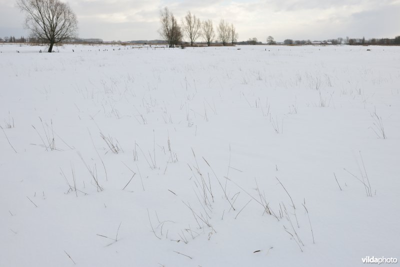 Besneeuwde Woumenbroek