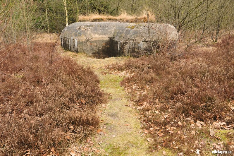 Bunkers