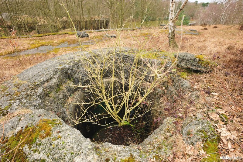Fort Brasschaat