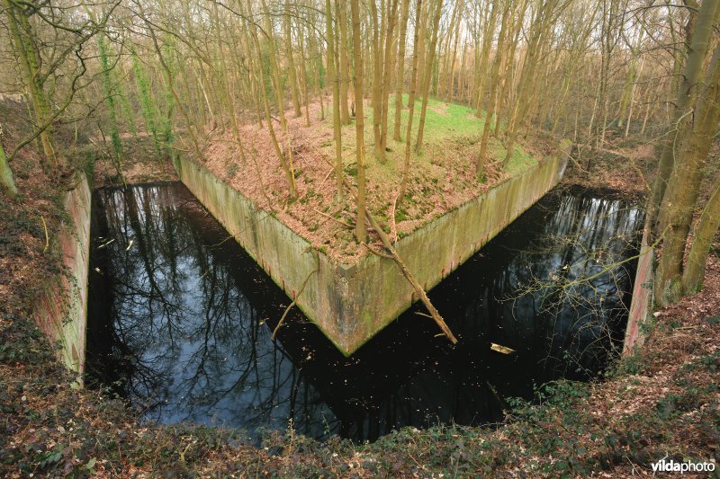 Fort Steendorp
