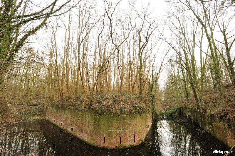 Fort Steendorp