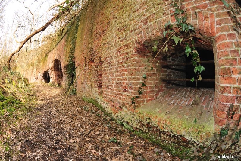 Fort Steendorp