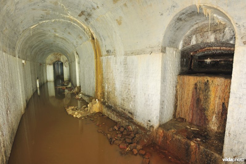Fort Steendorp