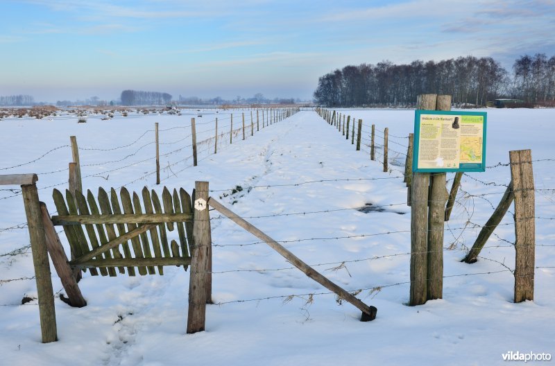 Winters kerkewegeltje aan de Blankaart