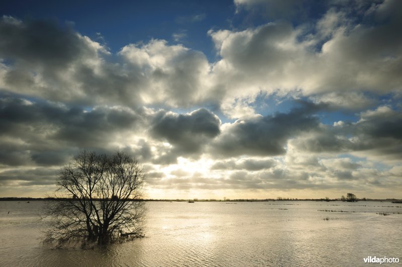 Overstroomde IJzer en Westbroek