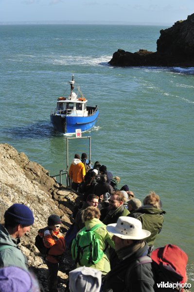 Bootje naar Skomer