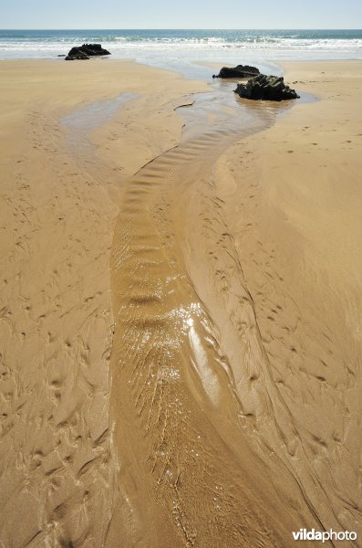 Strand van Wales