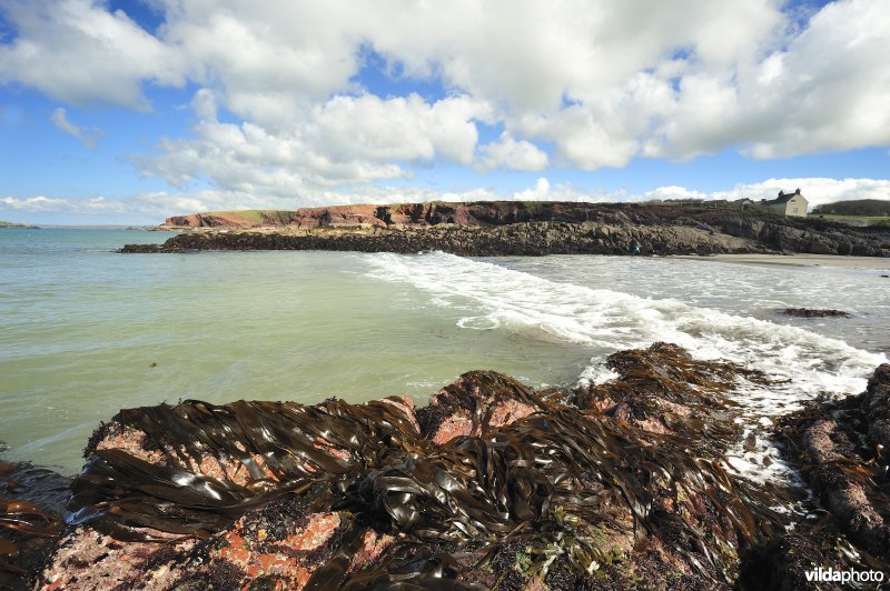 Strand van Wales