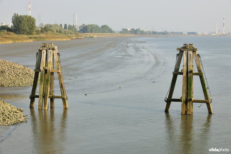 Meerpalen aan Fort Lillo