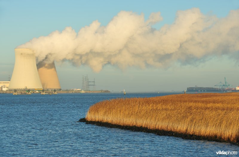 Galgenschoor aan de Schelde