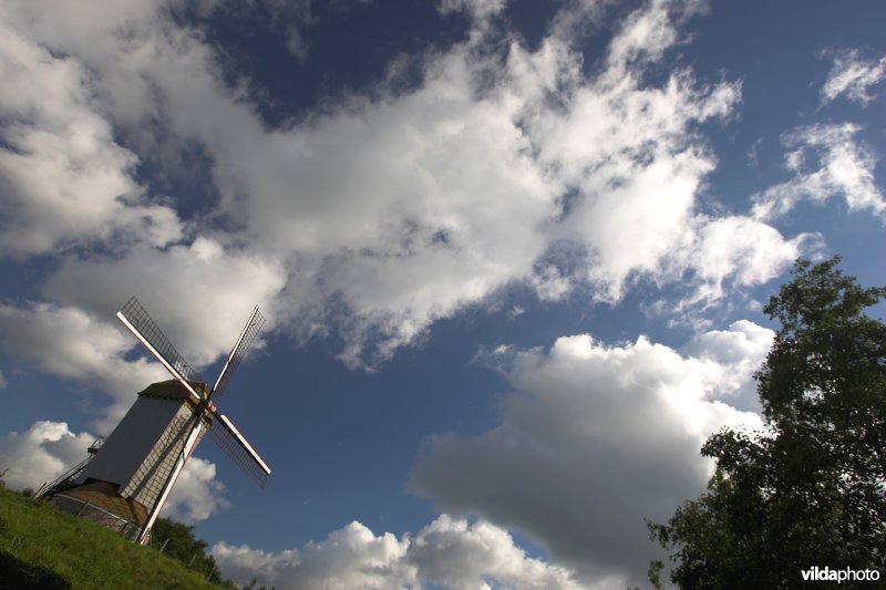 Windmolen