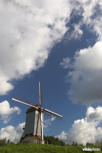 Windmolen