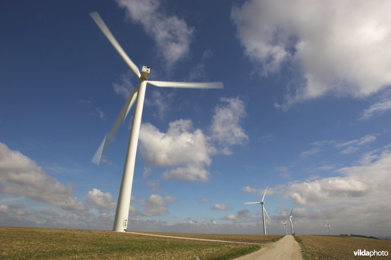 Windmolenpark