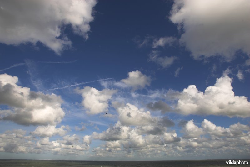 Een zee van wolken