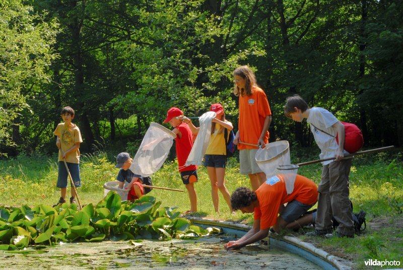 Waterdiertjes vangen