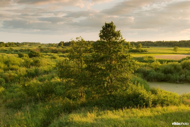 Biebrza, Polen