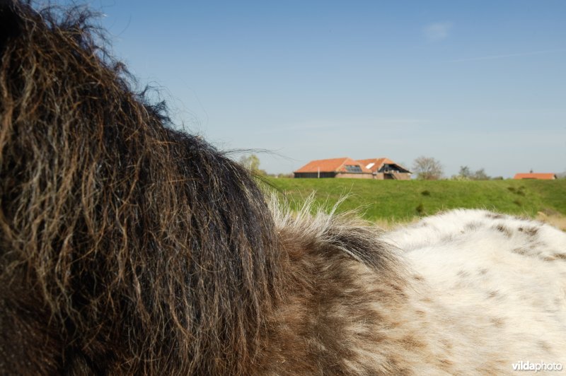 Fort Hedikhuizen