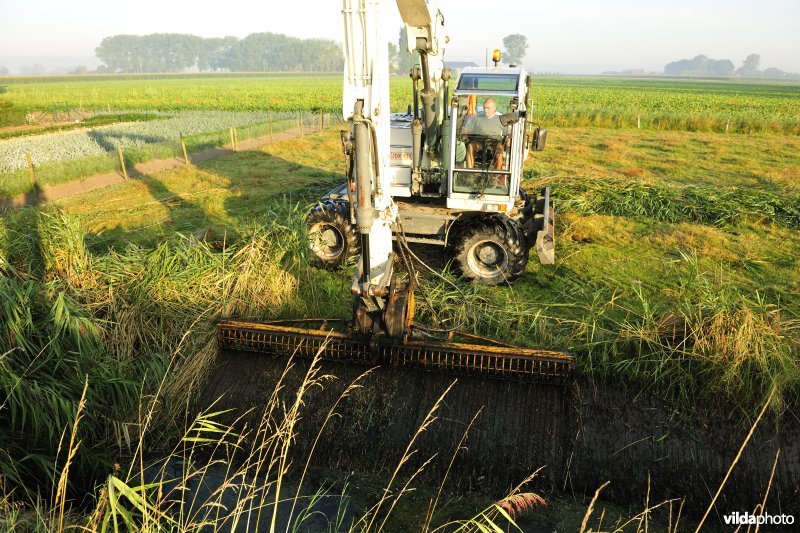 Riet maaien uit gracht