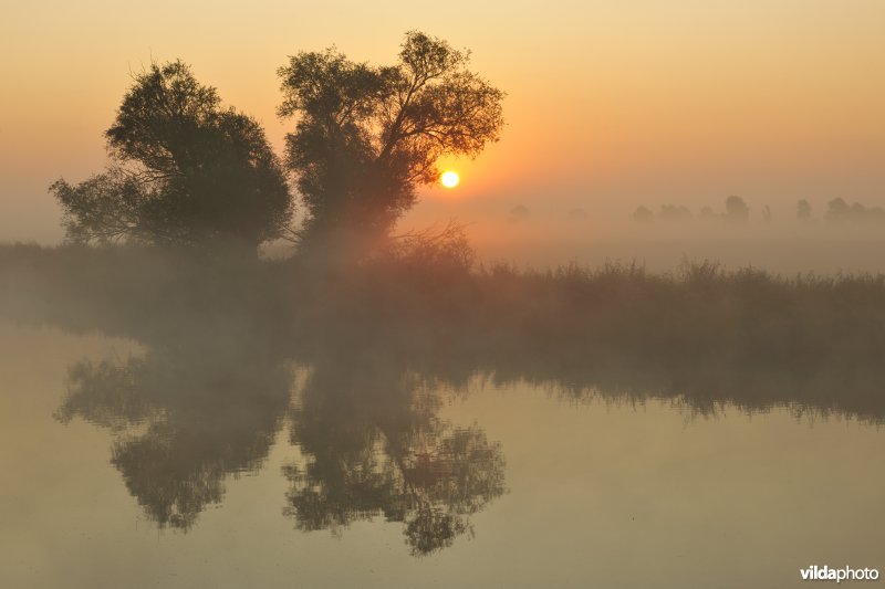 Rivier IJzer