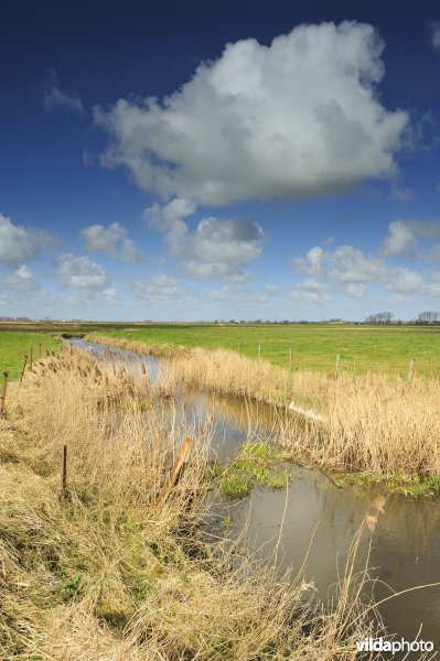 Vallei van de Handzame