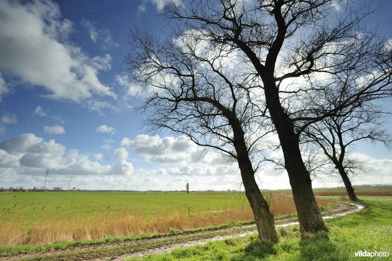 Beerstbroeken
