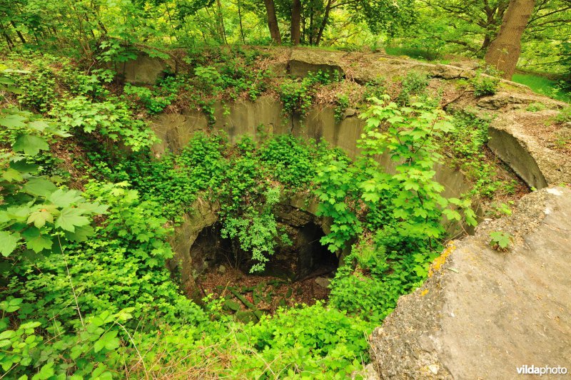 Fort Walem