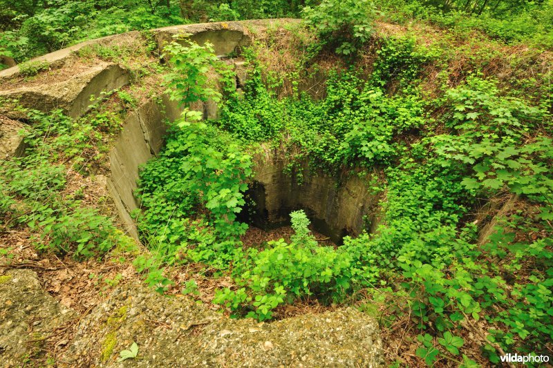 Fort Walem