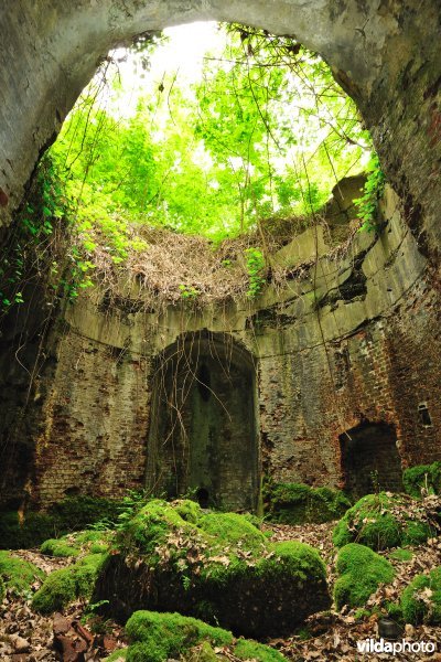 Fort Walem