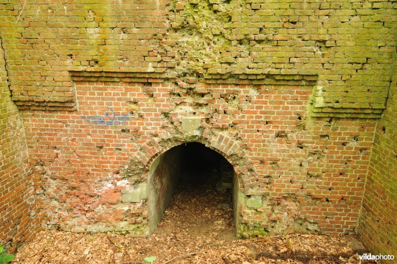 Fort Walem