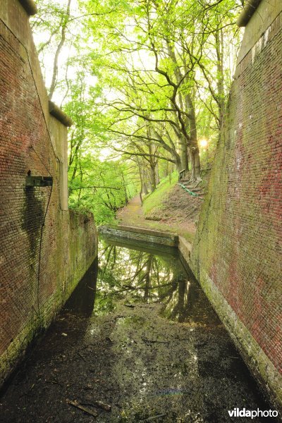 Fort 7