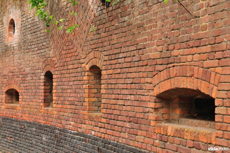 Fort 2