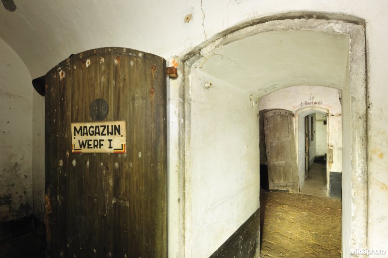 Fort Haasdonk