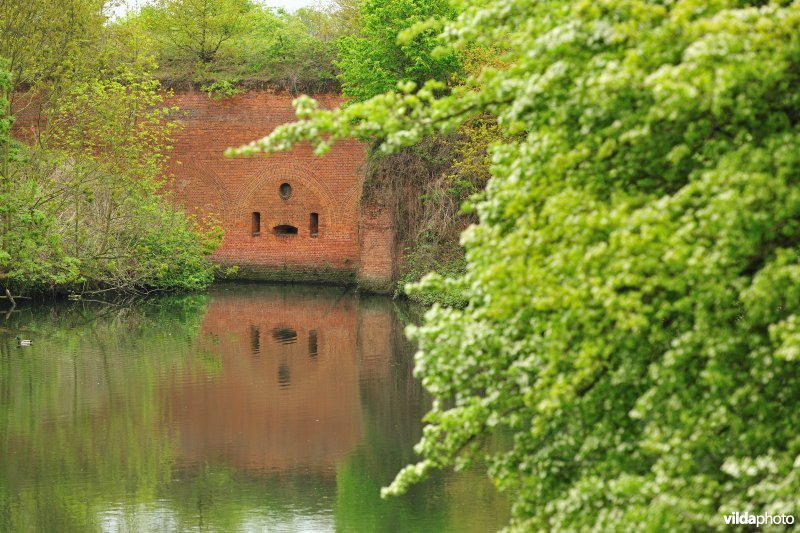 Fort van Borsbeek