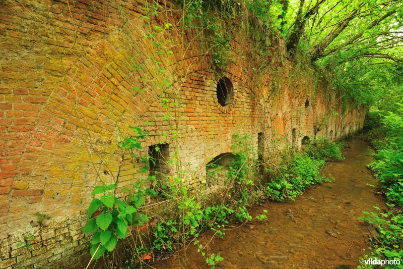 Fort van Borsbeek