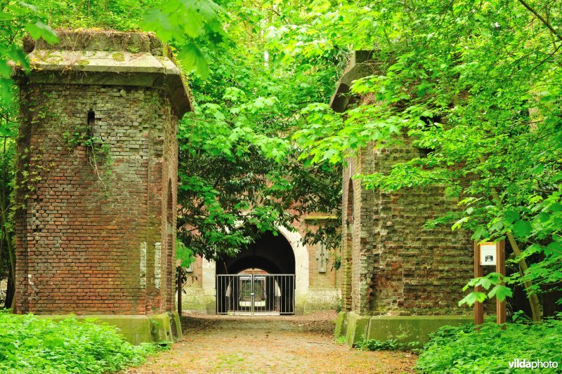 Fort 5