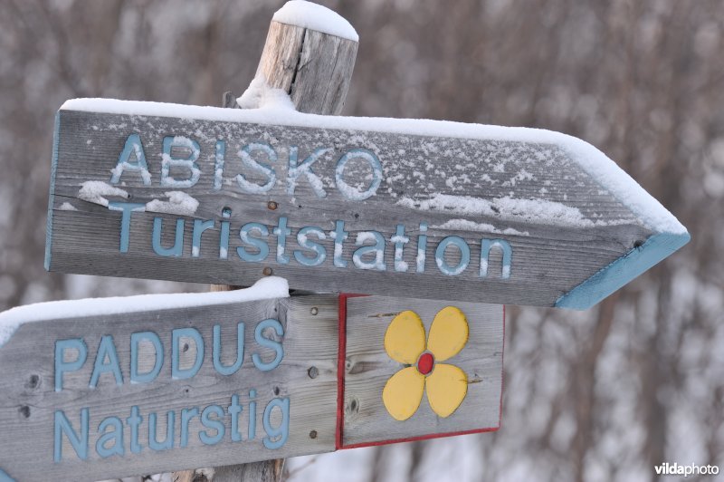 Houten wegwijzer Abisko