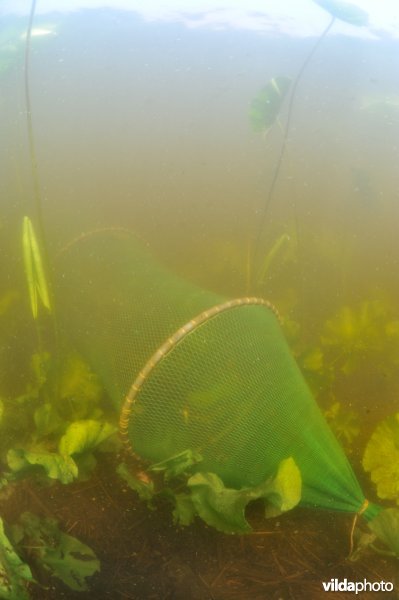 Fuik in de Wieden