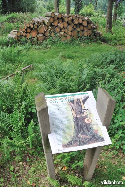 Informatiebord arboretum Groenendaal