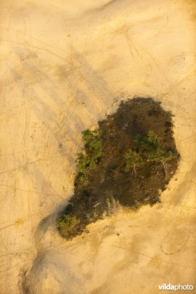 Luchtfoto van het Rozendaalse Zand waar stuifzand is gecreeerd