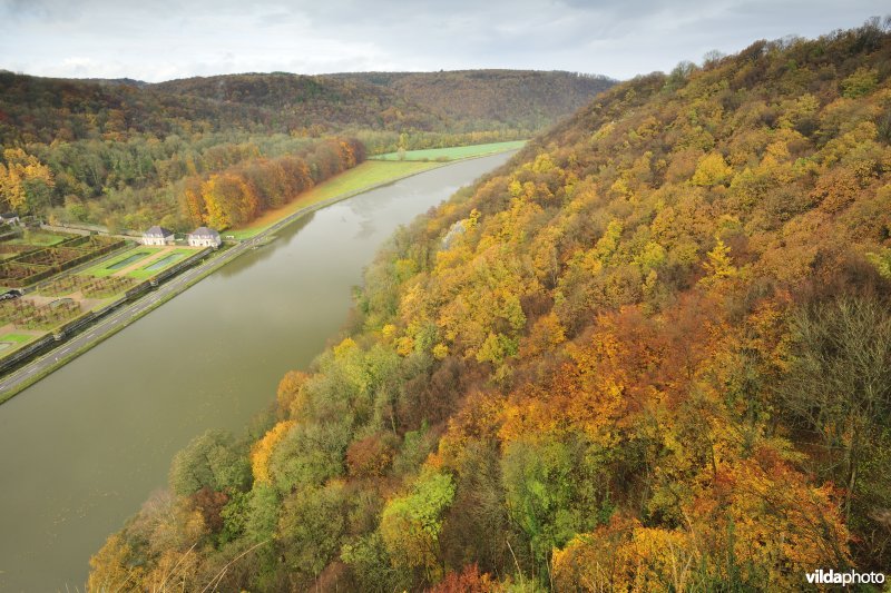 Freyr langs de Maas