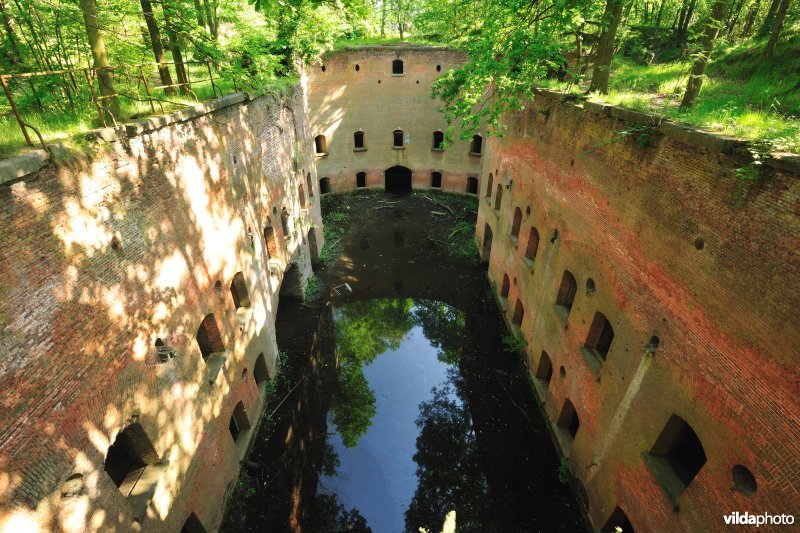 Fort 6