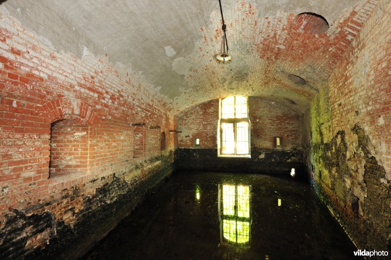 Fort 6
