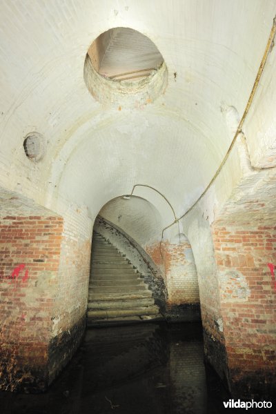 Fort 6